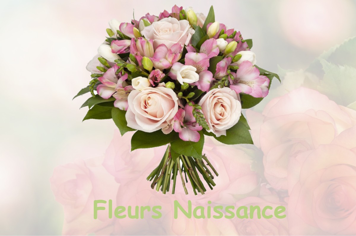 fleurs naissance MEYREUIL