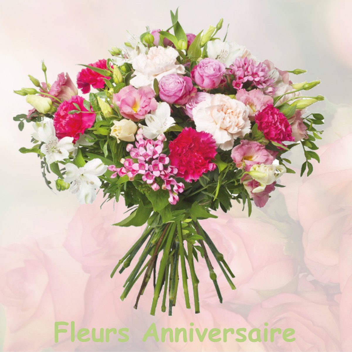 fleurs anniversaire MEYREUIL