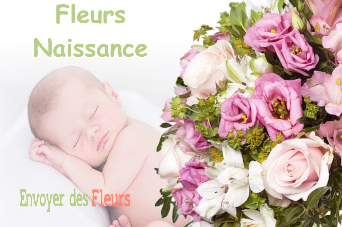 lIVRAISON FLEURS NAISSANCE à MEYREUIL